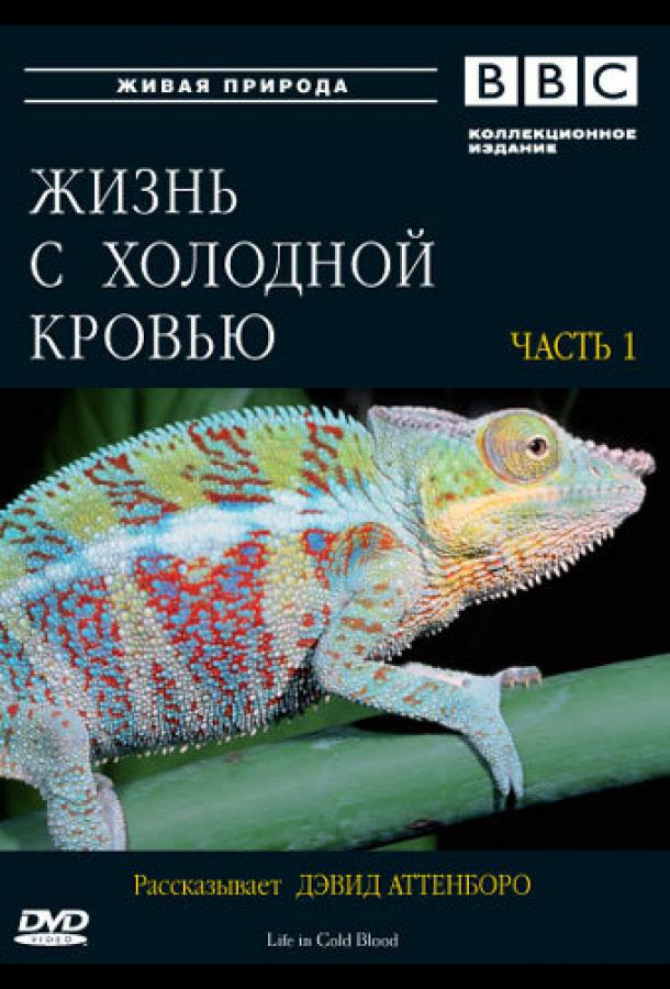 BBC: Жизнь с холодной кровью (2008)