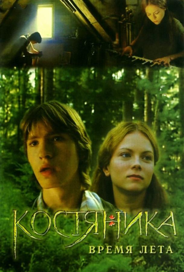 КостяНика. Время лета (2006)